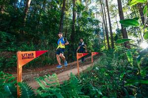 BIB: 
                            <button type="button" onclick="openModal(26625350)" class="btn btn-primary btn-sm float-right btn-popup" data-toggle="modal" data-target=".modal-high-quality">
                        <i class="fas fa-shopping-cart"></i> Add to Cart
                    </button>
                                            <button type="button" onclick="isThisMe(26625350, true)" class="btn btn-success btn-sm float-right btn-popup btn-isme hidden" data-toggle="tooltip" data-placement="bottom" title="นี่คือรูปของคุณใช่ไหม คลิกที่นี่เพื่อเอาเข้าอัลบั้ม">
                        <i class="fas fa-plus"></i> Add to album
                    </button>
                    <button type="button" onclick="isThisMe(26625350, false)" class="btn btn-warning btn-sm float-right btn-popup btn-isnotme hidden">
                        <i class="fas fa-ban"></i> Remove from album
                    </button>