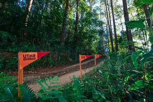 BIB: 
                            <button type="button" onclick="openModal(26625136)" class="btn btn-primary btn-sm float-right btn-popup" data-toggle="modal" data-target=".modal-high-quality">
                        <i class="fas fa-shopping-cart"></i> Add to Cart
                    </button>
                                            <button type="button" onclick="isThisMe(26625136, true)" class="btn btn-success btn-sm float-right btn-popup btn-isme hidden" data-toggle="tooltip" data-placement="bottom" title="นี่คือรูปของคุณใช่ไหม คลิกที่นี่เพื่อเอาเข้าอัลบั้ม">
                        <i class="fas fa-plus"></i> Add to album
                    </button>
                    <button type="button" onclick="isThisMe(26625136, false)" class="btn btn-warning btn-sm float-right btn-popup btn-isnotme hidden">
                        <i class="fas fa-ban"></i> Remove from album
                    </button>