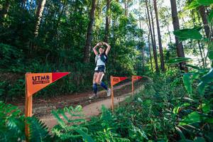 BIB: 
                            <button type="button" onclick="openModal(26625043)" class="btn btn-primary btn-sm float-right btn-popup" data-toggle="modal" data-target=".modal-high-quality">
                        <i class="fas fa-shopping-cart"></i> Add to Cart
                    </button>
                                            <button type="button" onclick="isThisMe(26625043, true)" class="btn btn-success btn-sm float-right btn-popup btn-isme hidden" data-toggle="tooltip" data-placement="bottom" title="นี่คือรูปของคุณใช่ไหม คลิกที่นี่เพื่อเอาเข้าอัลบั้ม">
                        <i class="fas fa-plus"></i> Add to album
                    </button>
                    <button type="button" onclick="isThisMe(26625043, false)" class="btn btn-warning btn-sm float-right btn-popup btn-isnotme hidden">
                        <i class="fas fa-ban"></i> Remove from album
                    </button>