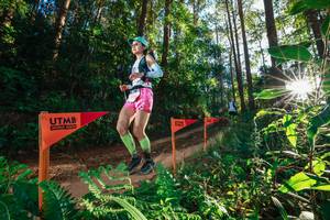 BIB: 
                            <button type="button" onclick="openModal(26624138)" class="btn btn-primary btn-sm float-right btn-popup" data-toggle="modal" data-target=".modal-high-quality">
                        <i class="fas fa-shopping-cart"></i> Add to Cart
                    </button>
                                            <button type="button" onclick="isThisMe(26624138, true)" class="btn btn-success btn-sm float-right btn-popup btn-isme hidden" data-toggle="tooltip" data-placement="bottom" title="นี่คือรูปของคุณใช่ไหม คลิกที่นี่เพื่อเอาเข้าอัลบั้ม">
                        <i class="fas fa-plus"></i> Add to album
                    </button>
                    <button type="button" onclick="isThisMe(26624138, false)" class="btn btn-warning btn-sm float-right btn-popup btn-isnotme hidden">
                        <i class="fas fa-ban"></i> Remove from album
                    </button>