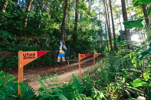 BIB: 
                            <button type="button" onclick="openModal(26623690)" class="btn btn-primary btn-sm float-right btn-popup" data-toggle="modal" data-target=".modal-high-quality">
                        <i class="fas fa-shopping-cart"></i> Add to Cart
                    </button>
                                            <button type="button" onclick="isThisMe(26623690, true)" class="btn btn-success btn-sm float-right btn-popup btn-isme hidden" data-toggle="tooltip" data-placement="bottom" title="นี่คือรูปของคุณใช่ไหม คลิกที่นี่เพื่อเอาเข้าอัลบั้ม">
                        <i class="fas fa-plus"></i> Add to album
                    </button>
                    <button type="button" onclick="isThisMe(26623690, false)" class="btn btn-warning btn-sm float-right btn-popup btn-isnotme hidden">
                        <i class="fas fa-ban"></i> Remove from album
                    </button>