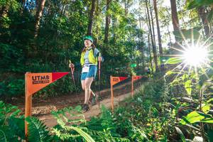 BIB: 
                            <button type="button" onclick="openModal(26624083)" class="btn btn-primary btn-sm float-right btn-popup" data-toggle="modal" data-target=".modal-high-quality">
                        <i class="fas fa-shopping-cart"></i> Add to Cart
                    </button>
                                            <button type="button" onclick="isThisMe(26624083, true)" class="btn btn-success btn-sm float-right btn-popup btn-isme hidden" data-toggle="tooltip" data-placement="bottom" title="นี่คือรูปของคุณใช่ไหม คลิกที่นี่เพื่อเอาเข้าอัลบั้ม">
                        <i class="fas fa-plus"></i> Add to album
                    </button>
                    <button type="button" onclick="isThisMe(26624083, false)" class="btn btn-warning btn-sm float-right btn-popup btn-isnotme hidden">
                        <i class="fas fa-ban"></i> Remove from album
                    </button>