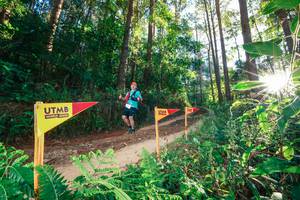 BIB: 
                            <button type="button" onclick="openModal(26624495)" class="btn btn-primary btn-sm float-right btn-popup" data-toggle="modal" data-target=".modal-high-quality">
                        <i class="fas fa-shopping-cart"></i> Add to Cart
                    </button>
                                            <button type="button" onclick="isThisMe(26624495, true)" class="btn btn-success btn-sm float-right btn-popup btn-isme hidden" data-toggle="tooltip" data-placement="bottom" title="นี่คือรูปของคุณใช่ไหม คลิกที่นี่เพื่อเอาเข้าอัลบั้ม">
                        <i class="fas fa-plus"></i> Add to album
                    </button>
                    <button type="button" onclick="isThisMe(26624495, false)" class="btn btn-warning btn-sm float-right btn-popup btn-isnotme hidden">
                        <i class="fas fa-ban"></i> Remove from album
                    </button>