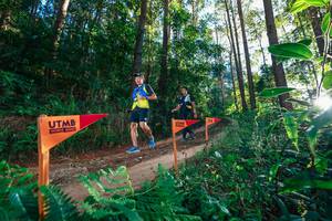 BIB: 
                            <button type="button" onclick="openModal(26625349)" class="btn btn-primary btn-sm float-right btn-popup" data-toggle="modal" data-target=".modal-high-quality">
                        <i class="fas fa-shopping-cart"></i> Add to Cart
                    </button>
                                            <button type="button" onclick="isThisMe(26625349, true)" class="btn btn-success btn-sm float-right btn-popup btn-isme hidden" data-toggle="tooltip" data-placement="bottom" title="นี่คือรูปของคุณใช่ไหม คลิกที่นี่เพื่อเอาเข้าอัลบั้ม">
                        <i class="fas fa-plus"></i> Add to album
                    </button>
                    <button type="button" onclick="isThisMe(26625349, false)" class="btn btn-warning btn-sm float-right btn-popup btn-isnotme hidden">
                        <i class="fas fa-ban"></i> Remove from album
                    </button>