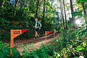 BIB: 
                            <button type="button" onclick="openModal(26623681)" class="btn btn-primary btn-sm float-right btn-popup" data-toggle="modal" data-target=".modal-high-quality">
                        <i class="fas fa-shopping-cart"></i> Add to Cart
                    </button>
                                            <button type="button" onclick="isThisMe(26623681, true)" class="btn btn-success btn-sm float-right btn-popup btn-isme hidden" data-toggle="tooltip" data-placement="bottom" title="นี่คือรูปของคุณใช่ไหม คลิกที่นี่เพื่อเอาเข้าอัลบั้ม">
                        <i class="fas fa-plus"></i> Add to album
                    </button>
                    <button type="button" onclick="isThisMe(26623681, false)" class="btn btn-warning btn-sm float-right btn-popup btn-isnotme hidden">
                        <i class="fas fa-ban"></i> Remove from album
                    </button>