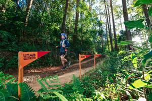 BIB: 
                            <button type="button" onclick="openModal(26623851)" class="btn btn-primary btn-sm float-right btn-popup" data-toggle="modal" data-target=".modal-high-quality">
                        <i class="fas fa-shopping-cart"></i> Add to Cart
                    </button>
                                            <button type="button" onclick="isThisMe(26623851, true)" class="btn btn-success btn-sm float-right btn-popup btn-isme hidden" data-toggle="tooltip" data-placement="bottom" title="นี่คือรูปของคุณใช่ไหม คลิกที่นี่เพื่อเอาเข้าอัลบั้ม">
                        <i class="fas fa-plus"></i> Add to album
                    </button>
                    <button type="button" onclick="isThisMe(26623851, false)" class="btn btn-warning btn-sm float-right btn-popup btn-isnotme hidden">
                        <i class="fas fa-ban"></i> Remove from album
                    </button>