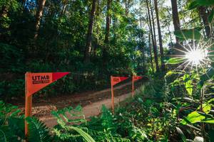 BIB: 
                            <button type="button" onclick="openModal(26624105)" class="btn btn-primary btn-sm float-right btn-popup" data-toggle="modal" data-target=".modal-high-quality">
                        <i class="fas fa-shopping-cart"></i> Add to Cart
                    </button>
                                            <button type="button" onclick="isThisMe(26624105, true)" class="btn btn-success btn-sm float-right btn-popup btn-isme hidden" data-toggle="tooltip" data-placement="bottom" title="นี่คือรูปของคุณใช่ไหม คลิกที่นี่เพื่อเอาเข้าอัลบั้ม">
                        <i class="fas fa-plus"></i> Add to album
                    </button>
                    <button type="button" onclick="isThisMe(26624105, false)" class="btn btn-warning btn-sm float-right btn-popup btn-isnotme hidden">
                        <i class="fas fa-ban"></i> Remove from album
                    </button>