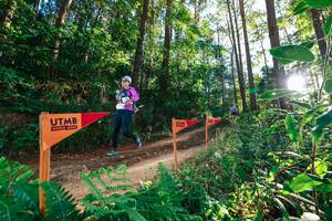 BIB: 
                            <button type="button" onclick="openModal(26623671)" class="btn btn-primary btn-sm float-right btn-popup" data-toggle="modal" data-target=".modal-high-quality">
                        <i class="fas fa-shopping-cart"></i> Add to Cart
                    </button>
                                            <button type="button" onclick="isThisMe(26623671, true)" class="btn btn-success btn-sm float-right btn-popup btn-isme hidden" data-toggle="tooltip" data-placement="bottom" title="นี่คือรูปของคุณใช่ไหม คลิกที่นี่เพื่อเอาเข้าอัลบั้ม">
                        <i class="fas fa-plus"></i> Add to album
                    </button>
                    <button type="button" onclick="isThisMe(26623671, false)" class="btn btn-warning btn-sm float-right btn-popup btn-isnotme hidden">
                        <i class="fas fa-ban"></i> Remove from album
                    </button>