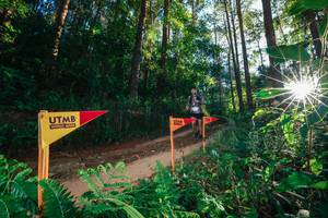 BIB: 
                            <button type="button" onclick="openModal(26624454)" class="btn btn-primary btn-sm float-right btn-popup" data-toggle="modal" data-target=".modal-high-quality">
                        <i class="fas fa-shopping-cart"></i> Add to Cart
                    </button>
                                            <button type="button" onclick="isThisMe(26624454, true)" class="btn btn-success btn-sm float-right btn-popup btn-isme hidden" data-toggle="tooltip" data-placement="bottom" title="นี่คือรูปของคุณใช่ไหม คลิกที่นี่เพื่อเอาเข้าอัลบั้ม">
                        <i class="fas fa-plus"></i> Add to album
                    </button>
                    <button type="button" onclick="isThisMe(26624454, false)" class="btn btn-warning btn-sm float-right btn-popup btn-isnotme hidden">
                        <i class="fas fa-ban"></i> Remove from album
                    </button>