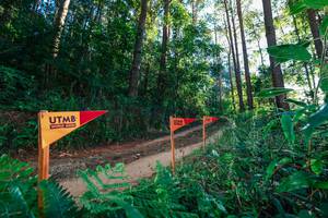 BIB: 
                            <button type="button" onclick="openModal(26625075)" class="btn btn-primary btn-sm float-right btn-popup" data-toggle="modal" data-target=".modal-high-quality">
                        <i class="fas fa-shopping-cart"></i> Add to Cart
                    </button>
                                            <button type="button" onclick="isThisMe(26625075, true)" class="btn btn-success btn-sm float-right btn-popup btn-isme hidden" data-toggle="tooltip" data-placement="bottom" title="นี่คือรูปของคุณใช่ไหม คลิกที่นี่เพื่อเอาเข้าอัลบั้ม">
                        <i class="fas fa-plus"></i> Add to album
                    </button>
                    <button type="button" onclick="isThisMe(26625075, false)" class="btn btn-warning btn-sm float-right btn-popup btn-isnotme hidden">
                        <i class="fas fa-ban"></i> Remove from album
                    </button>