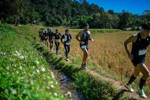 BIB: 
                            <button type="button" onclick="openModal(26624004)" class="btn btn-primary btn-sm float-right btn-popup" data-toggle="modal" data-target=".modal-high-quality">
                        <i class="fas fa-shopping-cart"></i> Add to Cart
                    </button>
                                            <button type="button" onclick="isThisMe(26624004, true)" class="btn btn-success btn-sm float-right btn-popup btn-isme hidden" data-toggle="tooltip" data-placement="bottom" title="นี่คือรูปของคุณใช่ไหม คลิกที่นี่เพื่อเอาเข้าอัลบั้ม">
                        <i class="fas fa-plus"></i> Add to album
                    </button>
                    <button type="button" onclick="isThisMe(26624004, false)" class="btn btn-warning btn-sm float-right btn-popup btn-isnotme hidden">
                        <i class="fas fa-ban"></i> Remove from album
                    </button>