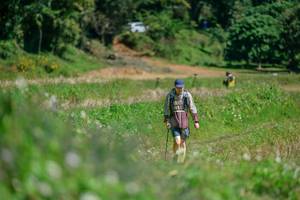 BIB: 
                            <button type="button" onclick="openModal(26770342)" class="btn btn-primary btn-sm float-right btn-popup" data-toggle="modal" data-target=".modal-high-quality">
                        <i class="fas fa-shopping-cart"></i> Add to Cart
                    </button>
                                            <button type="button" onclick="isThisMe(26770342, true)" class="btn btn-success btn-sm float-right btn-popup btn-isme hidden" data-toggle="tooltip" data-placement="bottom" title="นี่คือรูปของคุณใช่ไหม คลิกที่นี่เพื่อเอาเข้าอัลบั้ม">
                        <i class="fas fa-plus"></i> Add to album
                    </button>
                    <button type="button" onclick="isThisMe(26770342, false)" class="btn btn-warning btn-sm float-right btn-popup btn-isnotme hidden">
                        <i class="fas fa-ban"></i> Remove from album
                    </button>