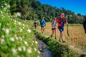 BIB: 
                            <button type="button" onclick="openModal(26623759)" class="btn btn-primary btn-sm float-right btn-popup" data-toggle="modal" data-target=".modal-high-quality">
                        <i class="fas fa-shopping-cart"></i> Add to Cart
                    </button>
                                            <button type="button" onclick="isThisMe(26623759, true)" class="btn btn-success btn-sm float-right btn-popup btn-isme hidden" data-toggle="tooltip" data-placement="bottom" title="นี่คือรูปของคุณใช่ไหม คลิกที่นี่เพื่อเอาเข้าอัลบั้ม">
                        <i class="fas fa-plus"></i> Add to album
                    </button>
                    <button type="button" onclick="isThisMe(26623759, false)" class="btn btn-warning btn-sm float-right btn-popup btn-isnotme hidden">
                        <i class="fas fa-ban"></i> Remove from album
                    </button>