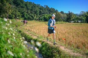 BIB: 
                            <button type="button" onclick="openModal(26631570)" class="btn btn-primary btn-sm float-right btn-popup" data-toggle="modal" data-target=".modal-high-quality">
                        <i class="fas fa-shopping-cart"></i> Add to Cart
                    </button>
                                            <button type="button" onclick="isThisMe(26631570, true)" class="btn btn-success btn-sm float-right btn-popup btn-isme hidden" data-toggle="tooltip" data-placement="bottom" title="นี่คือรูปของคุณใช่ไหม คลิกที่นี่เพื่อเอาเข้าอัลบั้ม">
                        <i class="fas fa-plus"></i> Add to album
                    </button>
                    <button type="button" onclick="isThisMe(26631570, false)" class="btn btn-warning btn-sm float-right btn-popup btn-isnotme hidden">
                        <i class="fas fa-ban"></i> Remove from album
                    </button>