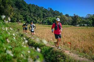 BIB: 
                            <button type="button" onclick="openModal(26632438)" class="btn btn-primary btn-sm float-right btn-popup" data-toggle="modal" data-target=".modal-high-quality">
                        <i class="fas fa-shopping-cart"></i> Add to Cart
                    </button>
                                            <button type="button" onclick="isThisMe(26632438, true)" class="btn btn-success btn-sm float-right btn-popup btn-isme hidden" data-toggle="tooltip" data-placement="bottom" title="นี่คือรูปของคุณใช่ไหม คลิกที่นี่เพื่อเอาเข้าอัลบั้ม">
                        <i class="fas fa-plus"></i> Add to album
                    </button>
                    <button type="button" onclick="isThisMe(26632438, false)" class="btn btn-warning btn-sm float-right btn-popup btn-isnotme hidden">
                        <i class="fas fa-ban"></i> Remove from album
                    </button>