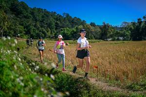 BIB: 
                            <button type="button" onclick="openModal(26624412)" class="btn btn-primary btn-sm float-right btn-popup" data-toggle="modal" data-target=".modal-high-quality">
                        <i class="fas fa-shopping-cart"></i> Add to Cart
                    </button>
                                            <button type="button" onclick="isThisMe(26624412, true)" class="btn btn-success btn-sm float-right btn-popup btn-isme hidden" data-toggle="tooltip" data-placement="bottom" title="นี่คือรูปของคุณใช่ไหม คลิกที่นี่เพื่อเอาเข้าอัลบั้ม">
                        <i class="fas fa-plus"></i> Add to album
                    </button>
                    <button type="button" onclick="isThisMe(26624412, false)" class="btn btn-warning btn-sm float-right btn-popup btn-isnotme hidden">
                        <i class="fas fa-ban"></i> Remove from album
                    </button>