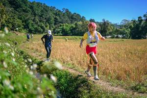 BIB: 
                            <button type="button" onclick="openModal(26631758)" class="btn btn-primary btn-sm float-right btn-popup" data-toggle="modal" data-target=".modal-high-quality">
                        <i class="fas fa-shopping-cart"></i> Add to Cart
                    </button>
                                            <button type="button" onclick="isThisMe(26631758, true)" class="btn btn-success btn-sm float-right btn-popup btn-isme hidden" data-toggle="tooltip" data-placement="bottom" title="นี่คือรูปของคุณใช่ไหม คลิกที่นี่เพื่อเอาเข้าอัลบั้ม">
                        <i class="fas fa-plus"></i> Add to album
                    </button>
                    <button type="button" onclick="isThisMe(26631758, false)" class="btn btn-warning btn-sm float-right btn-popup btn-isnotme hidden">
                        <i class="fas fa-ban"></i> Remove from album
                    </button>