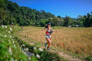 BIB: 
                            <button type="button" onclick="openModal(26632502)" class="btn btn-primary btn-sm float-right btn-popup" data-toggle="modal" data-target=".modal-high-quality">
                        <i class="fas fa-shopping-cart"></i> Add to Cart
                    </button>
                                            <button type="button" onclick="isThisMe(26632502, true)" class="btn btn-success btn-sm float-right btn-popup btn-isme hidden" data-toggle="tooltip" data-placement="bottom" title="นี่คือรูปของคุณใช่ไหม คลิกที่นี่เพื่อเอาเข้าอัลบั้ม">
                        <i class="fas fa-plus"></i> Add to album
                    </button>
                    <button type="button" onclick="isThisMe(26632502, false)" class="btn btn-warning btn-sm float-right btn-popup btn-isnotme hidden">
                        <i class="fas fa-ban"></i> Remove from album
                    </button>