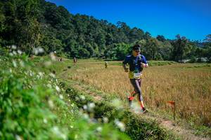 BIB: 
                            <button type="button" onclick="openModal(26624076)" class="btn btn-primary btn-sm float-right btn-popup" data-toggle="modal" data-target=".modal-high-quality">
                        <i class="fas fa-shopping-cart"></i> Add to Cart
                    </button>
                                            <button type="button" onclick="isThisMe(26624076, true)" class="btn btn-success btn-sm float-right btn-popup btn-isme hidden" data-toggle="tooltip" data-placement="bottom" title="นี่คือรูปของคุณใช่ไหม คลิกที่นี่เพื่อเอาเข้าอัลบั้ม">
                        <i class="fas fa-plus"></i> Add to album
                    </button>
                    <button type="button" onclick="isThisMe(26624076, false)" class="btn btn-warning btn-sm float-right btn-popup btn-isnotme hidden">
                        <i class="fas fa-ban"></i> Remove from album
                    </button>