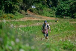 BIB: 
                            <button type="button" onclick="openModal(26770348)" class="btn btn-primary btn-sm float-right btn-popup" data-toggle="modal" data-target=".modal-high-quality">
                        <i class="fas fa-shopping-cart"></i> Add to Cart
                    </button>
                                            <button type="button" onclick="isThisMe(26770348, true)" class="btn btn-success btn-sm float-right btn-popup btn-isme hidden" data-toggle="tooltip" data-placement="bottom" title="นี่คือรูปของคุณใช่ไหม คลิกที่นี่เพื่อเอาเข้าอัลบั้ม">
                        <i class="fas fa-plus"></i> Add to album
                    </button>
                    <button type="button" onclick="isThisMe(26770348, false)" class="btn btn-warning btn-sm float-right btn-popup btn-isnotme hidden">
                        <i class="fas fa-ban"></i> Remove from album
                    </button>