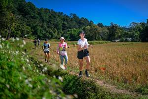 BIB: 
                            <button type="button" onclick="openModal(26624399)" class="btn btn-primary btn-sm float-right btn-popup" data-toggle="modal" data-target=".modal-high-quality">
                        <i class="fas fa-shopping-cart"></i> Add to Cart
                    </button>
                                            <button type="button" onclick="isThisMe(26624399, true)" class="btn btn-success btn-sm float-right btn-popup btn-isme hidden" data-toggle="tooltip" data-placement="bottom" title="นี่คือรูปของคุณใช่ไหม คลิกที่นี่เพื่อเอาเข้าอัลบั้ม">
                        <i class="fas fa-plus"></i> Add to album
                    </button>
                    <button type="button" onclick="isThisMe(26624399, false)" class="btn btn-warning btn-sm float-right btn-popup btn-isnotme hidden">
                        <i class="fas fa-ban"></i> Remove from album
                    </button>