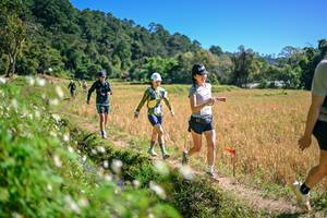 BIB: 
                            <button type="button" onclick="openModal(26632245)" class="btn btn-primary btn-sm float-right btn-popup" data-toggle="modal" data-target=".modal-high-quality">
                        <i class="fas fa-shopping-cart"></i> Add to Cart
                    </button>
                                            <button type="button" onclick="isThisMe(26632245, true)" class="btn btn-success btn-sm float-right btn-popup btn-isme hidden" data-toggle="tooltip" data-placement="bottom" title="นี่คือรูปของคุณใช่ไหม คลิกที่นี่เพื่อเอาเข้าอัลบั้ม">
                        <i class="fas fa-plus"></i> Add to album
                    </button>
                    <button type="button" onclick="isThisMe(26632245, false)" class="btn btn-warning btn-sm float-right btn-popup btn-isnotme hidden">
                        <i class="fas fa-ban"></i> Remove from album
                    </button>