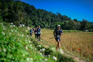 BIB: 
                            <button type="button" onclick="openModal(26623940)" class="btn btn-primary btn-sm float-right btn-popup" data-toggle="modal" data-target=".modal-high-quality">
                        <i class="fas fa-shopping-cart"></i> Add to Cart
                    </button>
                                            <button type="button" onclick="isThisMe(26623940, true)" class="btn btn-success btn-sm float-right btn-popup btn-isme hidden" data-toggle="tooltip" data-placement="bottom" title="นี่คือรูปของคุณใช่ไหม คลิกที่นี่เพื่อเอาเข้าอัลบั้ม">
                        <i class="fas fa-plus"></i> Add to album
                    </button>
                    <button type="button" onclick="isThisMe(26623940, false)" class="btn btn-warning btn-sm float-right btn-popup btn-isnotme hidden">
                        <i class="fas fa-ban"></i> Remove from album
                    </button>