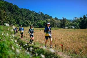 BIB: 
                            <button type="button" onclick="openModal(26633683)" class="btn btn-primary btn-sm float-right btn-popup" data-toggle="modal" data-target=".modal-high-quality">
                        <i class="fas fa-shopping-cart"></i> Add to Cart
                    </button>
                                            <button type="button" onclick="isThisMe(26633683, true)" class="btn btn-success btn-sm float-right btn-popup btn-isme hidden" data-toggle="tooltip" data-placement="bottom" title="นี่คือรูปของคุณใช่ไหม คลิกที่นี่เพื่อเอาเข้าอัลบั้ม">
                        <i class="fas fa-plus"></i> Add to album
                    </button>
                    <button type="button" onclick="isThisMe(26633683, false)" class="btn btn-warning btn-sm float-right btn-popup btn-isnotme hidden">
                        <i class="fas fa-ban"></i> Remove from album
                    </button>