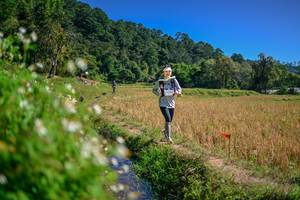 BIB: 
                            <button type="button" onclick="openModal(26632132)" class="btn btn-primary btn-sm float-right btn-popup" data-toggle="modal" data-target=".modal-high-quality">
                        <i class="fas fa-shopping-cart"></i> Add to Cart
                    </button>
                                            <button type="button" onclick="isThisMe(26632132, true)" class="btn btn-success btn-sm float-right btn-popup btn-isme hidden" data-toggle="tooltip" data-placement="bottom" title="นี่คือรูปของคุณใช่ไหม คลิกที่นี่เพื่อเอาเข้าอัลบั้ม">
                        <i class="fas fa-plus"></i> Add to album
                    </button>
                    <button type="button" onclick="isThisMe(26632132, false)" class="btn btn-warning btn-sm float-right btn-popup btn-isnotme hidden">
                        <i class="fas fa-ban"></i> Remove from album
                    </button>