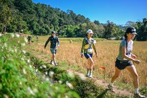 BIB: 
                            <button type="button" onclick="openModal(26632248)" class="btn btn-primary btn-sm float-right btn-popup" data-toggle="modal" data-target=".modal-high-quality">
                        <i class="fas fa-shopping-cart"></i> Add to Cart
                    </button>
                                            <button type="button" onclick="isThisMe(26632248, true)" class="btn btn-success btn-sm float-right btn-popup btn-isme hidden" data-toggle="tooltip" data-placement="bottom" title="นี่คือรูปของคุณใช่ไหม คลิกที่นี่เพื่อเอาเข้าอัลบั้ม">
                        <i class="fas fa-plus"></i> Add to album
                    </button>
                    <button type="button" onclick="isThisMe(26632248, false)" class="btn btn-warning btn-sm float-right btn-popup btn-isnotme hidden">
                        <i class="fas fa-ban"></i> Remove from album
                    </button>