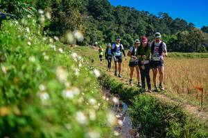 BIB: 
                            <button type="button" onclick="openModal(26623782)" class="btn btn-primary btn-sm float-right btn-popup" data-toggle="modal" data-target=".modal-high-quality">
                        <i class="fas fa-shopping-cart"></i> Add to Cart
                    </button>
                                            <button type="button" onclick="isThisMe(26623782, true)" class="btn btn-success btn-sm float-right btn-popup btn-isme hidden" data-toggle="tooltip" data-placement="bottom" title="นี่คือรูปของคุณใช่ไหม คลิกที่นี่เพื่อเอาเข้าอัลบั้ม">
                        <i class="fas fa-plus"></i> Add to album
                    </button>
                    <button type="button" onclick="isThisMe(26623782, false)" class="btn btn-warning btn-sm float-right btn-popup btn-isnotme hidden">
                        <i class="fas fa-ban"></i> Remove from album
                    </button>