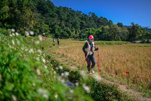 BIB: 
                            <button type="button" onclick="openModal(26624769)" class="btn btn-primary btn-sm float-right btn-popup" data-toggle="modal" data-target=".modal-high-quality">
                        <i class="fas fa-shopping-cart"></i> Add to Cart
                    </button>
                                            <button type="button" onclick="isThisMe(26624769, true)" class="btn btn-success btn-sm float-right btn-popup btn-isme hidden" data-toggle="tooltip" data-placement="bottom" title="นี่คือรูปของคุณใช่ไหม คลิกที่นี่เพื่อเอาเข้าอัลบั้ม">
                        <i class="fas fa-plus"></i> Add to album
                    </button>
                    <button type="button" onclick="isThisMe(26624769, false)" class="btn btn-warning btn-sm float-right btn-popup btn-isnotme hidden">
                        <i class="fas fa-ban"></i> Remove from album
                    </button>