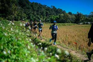 BIB: 
                            <button type="button" onclick="openModal(26623971)" class="btn btn-primary btn-sm float-right btn-popup" data-toggle="modal" data-target=".modal-high-quality">
                        <i class="fas fa-shopping-cart"></i> Add to Cart
                    </button>
                                            <button type="button" onclick="isThisMe(26623971, true)" class="btn btn-success btn-sm float-right btn-popup btn-isme hidden" data-toggle="tooltip" data-placement="bottom" title="นี่คือรูปของคุณใช่ไหม คลิกที่นี่เพื่อเอาเข้าอัลบั้ม">
                        <i class="fas fa-plus"></i> Add to album
                    </button>
                    <button type="button" onclick="isThisMe(26623971, false)" class="btn btn-warning btn-sm float-right btn-popup btn-isnotme hidden">
                        <i class="fas fa-ban"></i> Remove from album
                    </button>