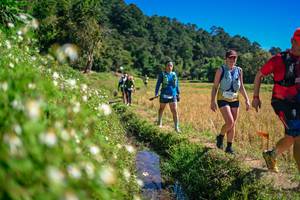 BIB: 
                            <button type="button" onclick="openModal(26623760)" class="btn btn-primary btn-sm float-right btn-popup" data-toggle="modal" data-target=".modal-high-quality">
                        <i class="fas fa-shopping-cart"></i> Add to Cart
                    </button>
                                            <button type="button" onclick="isThisMe(26623760, true)" class="btn btn-success btn-sm float-right btn-popup btn-isme hidden" data-toggle="tooltip" data-placement="bottom" title="นี่คือรูปของคุณใช่ไหม คลิกที่นี่เพื่อเอาเข้าอัลบั้ม">
                        <i class="fas fa-plus"></i> Add to album
                    </button>
                    <button type="button" onclick="isThisMe(26623760, false)" class="btn btn-warning btn-sm float-right btn-popup btn-isnotme hidden">
                        <i class="fas fa-ban"></i> Remove from album
                    </button>