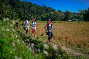 BIB: 
                            <button type="button" onclick="openModal(26624109)" class="btn btn-primary btn-sm float-right btn-popup" data-toggle="modal" data-target=".modal-high-quality">
                        <i class="fas fa-shopping-cart"></i> Add to Cart
                    </button>
                                            <button type="button" onclick="isThisMe(26624109, true)" class="btn btn-success btn-sm float-right btn-popup btn-isme hidden" data-toggle="tooltip" data-placement="bottom" title="นี่คือรูปของคุณใช่ไหม คลิกที่นี่เพื่อเอาเข้าอัลบั้ม">
                        <i class="fas fa-plus"></i> Add to album
                    </button>
                    <button type="button" onclick="isThisMe(26624109, false)" class="btn btn-warning btn-sm float-right btn-popup btn-isnotme hidden">
                        <i class="fas fa-ban"></i> Remove from album
                    </button>