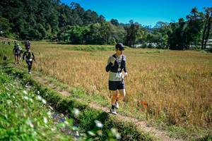 BIB: 
                            <button type="button" onclick="openModal(26623864)" class="btn btn-primary btn-sm float-right btn-popup" data-toggle="modal" data-target=".modal-high-quality">
                        <i class="fas fa-shopping-cart"></i> Add to Cart
                    </button>
                                            <button type="button" onclick="isThisMe(26623864, true)" class="btn btn-success btn-sm float-right btn-popup btn-isme hidden" data-toggle="tooltip" data-placement="bottom" title="นี่คือรูปของคุณใช่ไหม คลิกที่นี่เพื่อเอาเข้าอัลบั้ม">
                        <i class="fas fa-plus"></i> Add to album
                    </button>
                    <button type="button" onclick="isThisMe(26623864, false)" class="btn btn-warning btn-sm float-right btn-popup btn-isnotme hidden">
                        <i class="fas fa-ban"></i> Remove from album
                    </button>