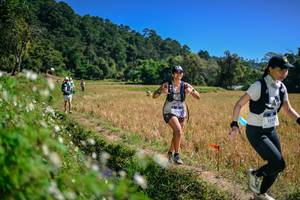 BIB: 
                            <button type="button" onclick="openModal(26633765)" class="btn btn-primary btn-sm float-right btn-popup" data-toggle="modal" data-target=".modal-high-quality">
                        <i class="fas fa-shopping-cart"></i> Add to Cart
                    </button>
                                            <button type="button" onclick="isThisMe(26633765, true)" class="btn btn-success btn-sm float-right btn-popup btn-isme hidden" data-toggle="tooltip" data-placement="bottom" title="นี่คือรูปของคุณใช่ไหม คลิกที่นี่เพื่อเอาเข้าอัลบั้ม">
                        <i class="fas fa-plus"></i> Add to album
                    </button>
                    <button type="button" onclick="isThisMe(26633765, false)" class="btn btn-warning btn-sm float-right btn-popup btn-isnotme hidden">
                        <i class="fas fa-ban"></i> Remove from album
                    </button>