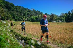 BIB: 
                            <button type="button" onclick="openModal(26632379)" class="btn btn-primary btn-sm float-right btn-popup" data-toggle="modal" data-target=".modal-high-quality">
                        <i class="fas fa-shopping-cart"></i> Add to Cart
                    </button>
                                            <button type="button" onclick="isThisMe(26632379, true)" class="btn btn-success btn-sm float-right btn-popup btn-isme hidden" data-toggle="tooltip" data-placement="bottom" title="นี่คือรูปของคุณใช่ไหม คลิกที่นี่เพื่อเอาเข้าอัลบั้ม">
                        <i class="fas fa-plus"></i> Add to album
                    </button>
                    <button type="button" onclick="isThisMe(26632379, false)" class="btn btn-warning btn-sm float-right btn-popup btn-isnotme hidden">
                        <i class="fas fa-ban"></i> Remove from album
                    </button>