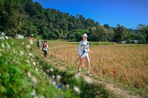 BIB: 
                            <button type="button" onclick="openModal(26633833)" class="btn btn-primary btn-sm float-right btn-popup" data-toggle="modal" data-target=".modal-high-quality">
                        <i class="fas fa-shopping-cart"></i> Add to Cart
                    </button>
                                            <button type="button" onclick="isThisMe(26633833, true)" class="btn btn-success btn-sm float-right btn-popup btn-isme hidden" data-toggle="tooltip" data-placement="bottom" title="นี่คือรูปของคุณใช่ไหม คลิกที่นี่เพื่อเอาเข้าอัลบั้ม">
                        <i class="fas fa-plus"></i> Add to album
                    </button>
                    <button type="button" onclick="isThisMe(26633833, false)" class="btn btn-warning btn-sm float-right btn-popup btn-isnotme hidden">
                        <i class="fas fa-ban"></i> Remove from album
                    </button>