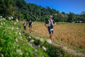 BIB: 
                            <button type="button" onclick="openModal(26624748)" class="btn btn-primary btn-sm float-right btn-popup" data-toggle="modal" data-target=".modal-high-quality">
                        <i class="fas fa-shopping-cart"></i> Add to Cart
                    </button>
                                            <button type="button" onclick="isThisMe(26624748, true)" class="btn btn-success btn-sm float-right btn-popup btn-isme hidden" data-toggle="tooltip" data-placement="bottom" title="นี่คือรูปของคุณใช่ไหม คลิกที่นี่เพื่อเอาเข้าอัลบั้ม">
                        <i class="fas fa-plus"></i> Add to album
                    </button>
                    <button type="button" onclick="isThisMe(26624748, false)" class="btn btn-warning btn-sm float-right btn-popup btn-isnotme hidden">
                        <i class="fas fa-ban"></i> Remove from album
                    </button>