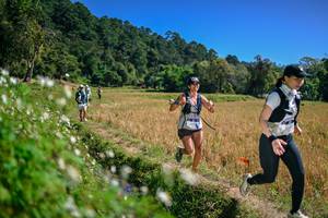 BIB: 
                            <button type="button" onclick="openModal(26633767)" class="btn btn-primary btn-sm float-right btn-popup" data-toggle="modal" data-target=".modal-high-quality">
                        <i class="fas fa-shopping-cart"></i> Add to Cart
                    </button>
                                            <button type="button" onclick="isThisMe(26633767, true)" class="btn btn-success btn-sm float-right btn-popup btn-isme hidden" data-toggle="tooltip" data-placement="bottom" title="นี่คือรูปของคุณใช่ไหม คลิกที่นี่เพื่อเอาเข้าอัลบั้ม">
                        <i class="fas fa-plus"></i> Add to album
                    </button>
                    <button type="button" onclick="isThisMe(26633767, false)" class="btn btn-warning btn-sm float-right btn-popup btn-isnotme hidden">
                        <i class="fas fa-ban"></i> Remove from album
                    </button>