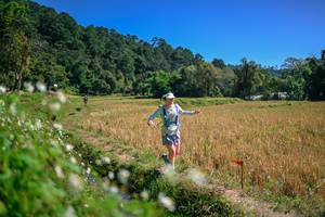 BIB: 
                            <button type="button" onclick="openModal(26633530)" class="btn btn-primary btn-sm float-right btn-popup" data-toggle="modal" data-target=".modal-high-quality">
                        <i class="fas fa-shopping-cart"></i> Add to Cart
                    </button>
                                            <button type="button" onclick="isThisMe(26633530, true)" class="btn btn-success btn-sm float-right btn-popup btn-isme hidden" data-toggle="tooltip" data-placement="bottom" title="นี่คือรูปของคุณใช่ไหม คลิกที่นี่เพื่อเอาเข้าอัลบั้ม">
                        <i class="fas fa-plus"></i> Add to album
                    </button>
                    <button type="button" onclick="isThisMe(26633530, false)" class="btn btn-warning btn-sm float-right btn-popup btn-isnotme hidden">
                        <i class="fas fa-ban"></i> Remove from album
                    </button>