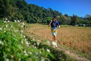 BIB: 
                            <button type="button" onclick="openModal(26634017)" class="btn btn-primary btn-sm float-right btn-popup" data-toggle="modal" data-target=".modal-high-quality">
                        <i class="fas fa-shopping-cart"></i> Add to Cart
                    </button>
                                            <button type="button" onclick="isThisMe(26634017, true)" class="btn btn-success btn-sm float-right btn-popup btn-isme hidden" data-toggle="tooltip" data-placement="bottom" title="นี่คือรูปของคุณใช่ไหม คลิกที่นี่เพื่อเอาเข้าอัลบั้ม">
                        <i class="fas fa-plus"></i> Add to album
                    </button>
                    <button type="button" onclick="isThisMe(26634017, false)" class="btn btn-warning btn-sm float-right btn-popup btn-isnotme hidden">
                        <i class="fas fa-ban"></i> Remove from album
                    </button>