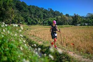 BIB: 
                            <button type="button" onclick="openModal(26632414)" class="btn btn-primary btn-sm float-right btn-popup" data-toggle="modal" data-target=".modal-high-quality">
                        <i class="fas fa-shopping-cart"></i> Add to Cart
                    </button>
                                            <button type="button" onclick="isThisMe(26632414, true)" class="btn btn-success btn-sm float-right btn-popup btn-isme hidden" data-toggle="tooltip" data-placement="bottom" title="นี่คือรูปของคุณใช่ไหม คลิกที่นี่เพื่อเอาเข้าอัลบั้ม">
                        <i class="fas fa-plus"></i> Add to album
                    </button>
                    <button type="button" onclick="isThisMe(26632414, false)" class="btn btn-warning btn-sm float-right btn-popup btn-isnotme hidden">
                        <i class="fas fa-ban"></i> Remove from album
                    </button>