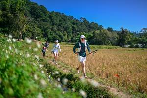 BIB: 
                            <button type="button" onclick="openModal(26633803)" class="btn btn-primary btn-sm float-right btn-popup" data-toggle="modal" data-target=".modal-high-quality">
                        <i class="fas fa-shopping-cart"></i> Add to Cart
                    </button>
                                            <button type="button" onclick="isThisMe(26633803, true)" class="btn btn-success btn-sm float-right btn-popup btn-isme hidden" data-toggle="tooltip" data-placement="bottom" title="นี่คือรูปของคุณใช่ไหม คลิกที่นี่เพื่อเอาเข้าอัลบั้ม">
                        <i class="fas fa-plus"></i> Add to album
                    </button>
                    <button type="button" onclick="isThisMe(26633803, false)" class="btn btn-warning btn-sm float-right btn-popup btn-isnotme hidden">
                        <i class="fas fa-ban"></i> Remove from album
                    </button>