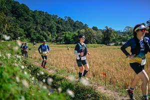 BIB: 
                            <button type="button" onclick="openModal(26633702)" class="btn btn-primary btn-sm float-right btn-popup" data-toggle="modal" data-target=".modal-high-quality">
                        <i class="fas fa-shopping-cart"></i> Add to Cart
                    </button>
                                            <button type="button" onclick="isThisMe(26633702, true)" class="btn btn-success btn-sm float-right btn-popup btn-isme hidden" data-toggle="tooltip" data-placement="bottom" title="นี่คือรูปของคุณใช่ไหม คลิกที่นี่เพื่อเอาเข้าอัลบั้ม">
                        <i class="fas fa-plus"></i> Add to album
                    </button>
                    <button type="button" onclick="isThisMe(26633702, false)" class="btn btn-warning btn-sm float-right btn-popup btn-isnotme hidden">
                        <i class="fas fa-ban"></i> Remove from album
                    </button>