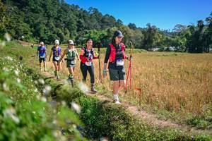 BIB: 
                            <button type="button" onclick="openModal(26631640)" class="btn btn-primary btn-sm float-right btn-popup" data-toggle="modal" data-target=".modal-high-quality">
                        <i class="fas fa-shopping-cart"></i> Add to Cart
                    </button>
                                            <button type="button" onclick="isThisMe(26631640, true)" class="btn btn-success btn-sm float-right btn-popup btn-isme hidden" data-toggle="tooltip" data-placement="bottom" title="นี่คือรูปของคุณใช่ไหม คลิกที่นี่เพื่อเอาเข้าอัลบั้ม">
                        <i class="fas fa-plus"></i> Add to album
                    </button>
                    <button type="button" onclick="isThisMe(26631640, false)" class="btn btn-warning btn-sm float-right btn-popup btn-isnotme hidden">
                        <i class="fas fa-ban"></i> Remove from album
                    </button>