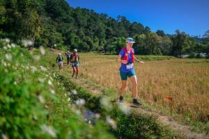 BIB: 
                            <button type="button" onclick="openModal(26624691)" class="btn btn-primary btn-sm float-right btn-popup" data-toggle="modal" data-target=".modal-high-quality">
                        <i class="fas fa-shopping-cart"></i> Add to Cart
                    </button>
                                            <button type="button" onclick="isThisMe(26624691, true)" class="btn btn-success btn-sm float-right btn-popup btn-isme hidden" data-toggle="tooltip" data-placement="bottom" title="นี่คือรูปของคุณใช่ไหม คลิกที่นี่เพื่อเอาเข้าอัลบั้ม">
                        <i class="fas fa-plus"></i> Add to album
                    </button>
                    <button type="button" onclick="isThisMe(26624691, false)" class="btn btn-warning btn-sm float-right btn-popup btn-isnotme hidden">
                        <i class="fas fa-ban"></i> Remove from album
                    </button>