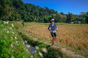 BIB: 
                            <button type="button" onclick="openModal(26624847)" class="btn btn-primary btn-sm float-right btn-popup" data-toggle="modal" data-target=".modal-high-quality">
                        <i class="fas fa-shopping-cart"></i> Add to Cart
                    </button>
                                            <button type="button" onclick="isThisMe(26624847, true)" class="btn btn-success btn-sm float-right btn-popup btn-isme hidden" data-toggle="tooltip" data-placement="bottom" title="นี่คือรูปของคุณใช่ไหม คลิกที่นี่เพื่อเอาเข้าอัลบั้ม">
                        <i class="fas fa-plus"></i> Add to album
                    </button>
                    <button type="button" onclick="isThisMe(26624847, false)" class="btn btn-warning btn-sm float-right btn-popup btn-isnotme hidden">
                        <i class="fas fa-ban"></i> Remove from album
                    </button>