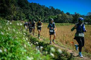 BIB: 
                            <button type="button" onclick="openModal(26623983)" class="btn btn-primary btn-sm float-right btn-popup" data-toggle="modal" data-target=".modal-high-quality">
                        <i class="fas fa-shopping-cart"></i> Add to Cart
                    </button>
                                            <button type="button" onclick="isThisMe(26623983, true)" class="btn btn-success btn-sm float-right btn-popup btn-isme hidden" data-toggle="tooltip" data-placement="bottom" title="นี่คือรูปของคุณใช่ไหม คลิกที่นี่เพื่อเอาเข้าอัลบั้ม">
                        <i class="fas fa-plus"></i> Add to album
                    </button>
                    <button type="button" onclick="isThisMe(26623983, false)" class="btn btn-warning btn-sm float-right btn-popup btn-isnotme hidden">
                        <i class="fas fa-ban"></i> Remove from album
                    </button>